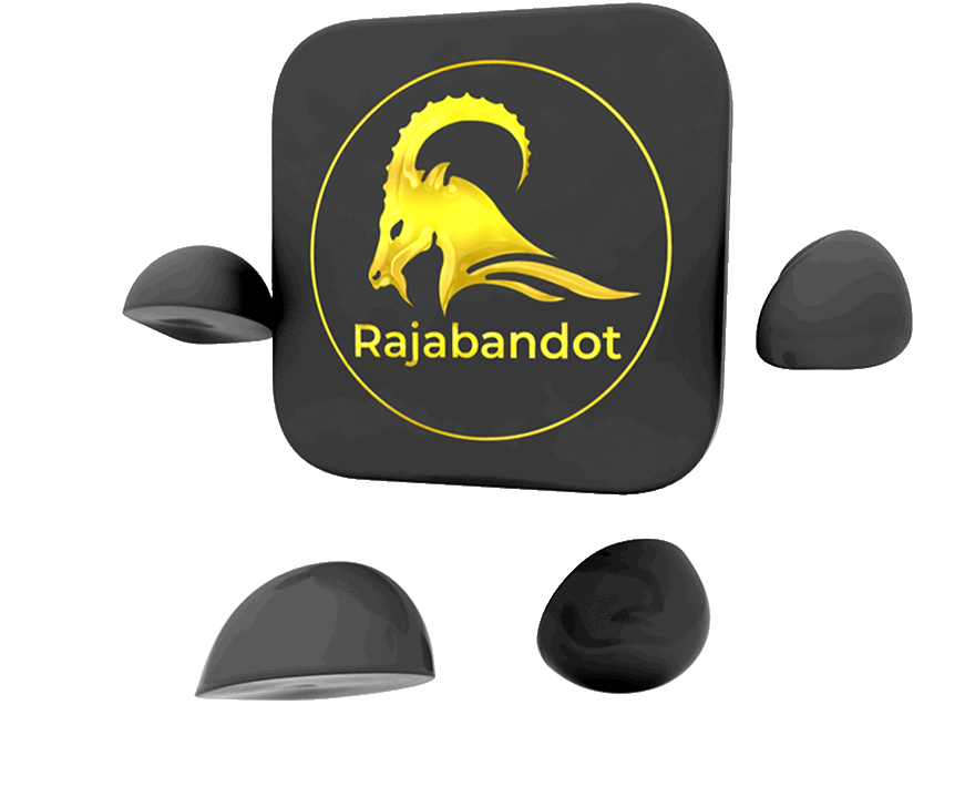 RAJABANDOT LOGO